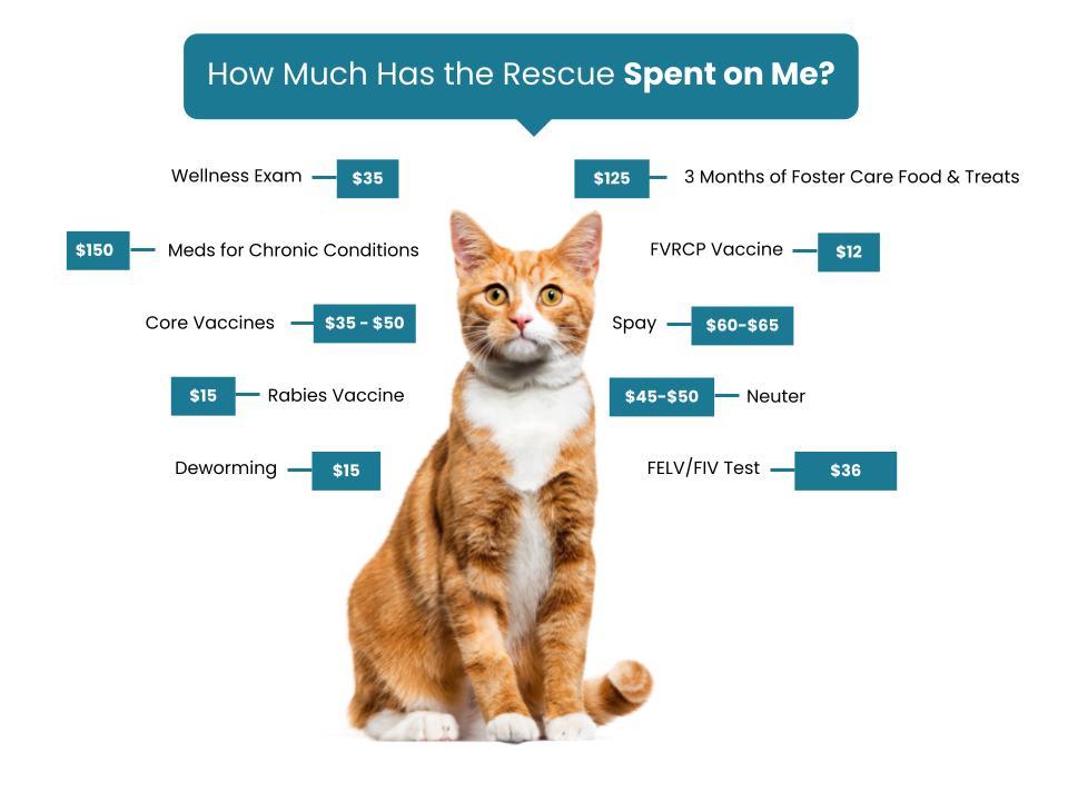 Grand Rivers Humane Society Fee Graphic