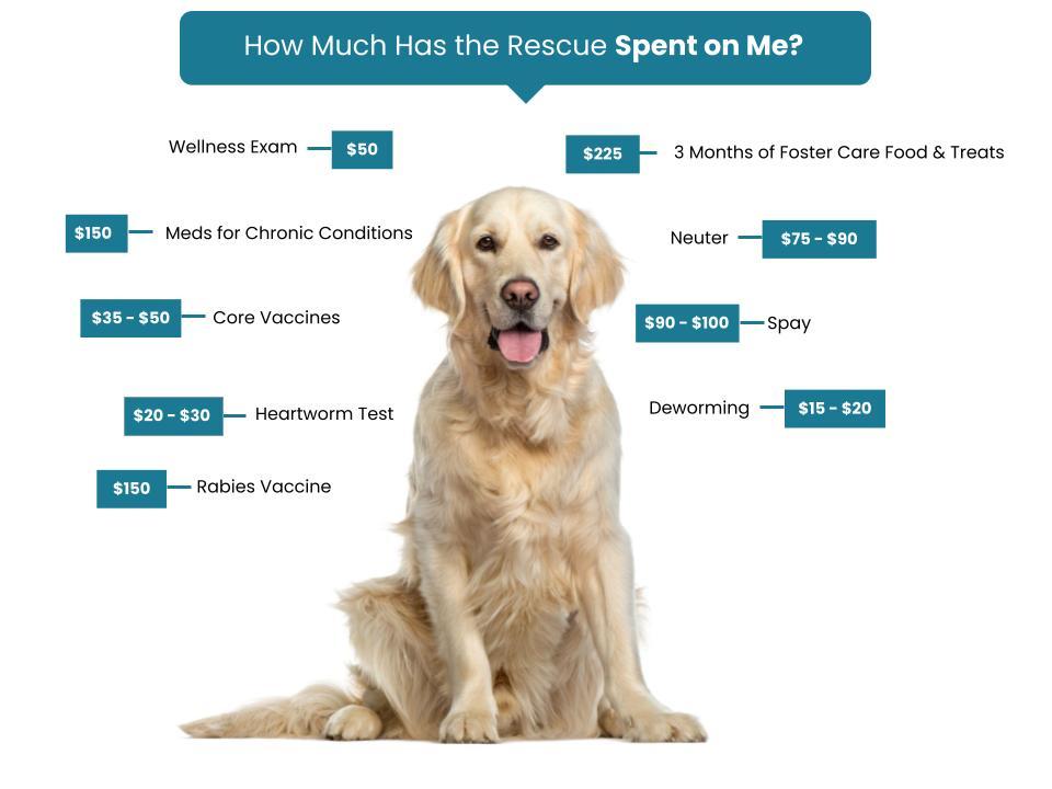 Grand Rivers Humane Society Fee Graphic