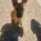 Cooper