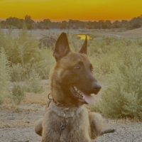 Braveheart Sunset
