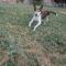 Xylie
