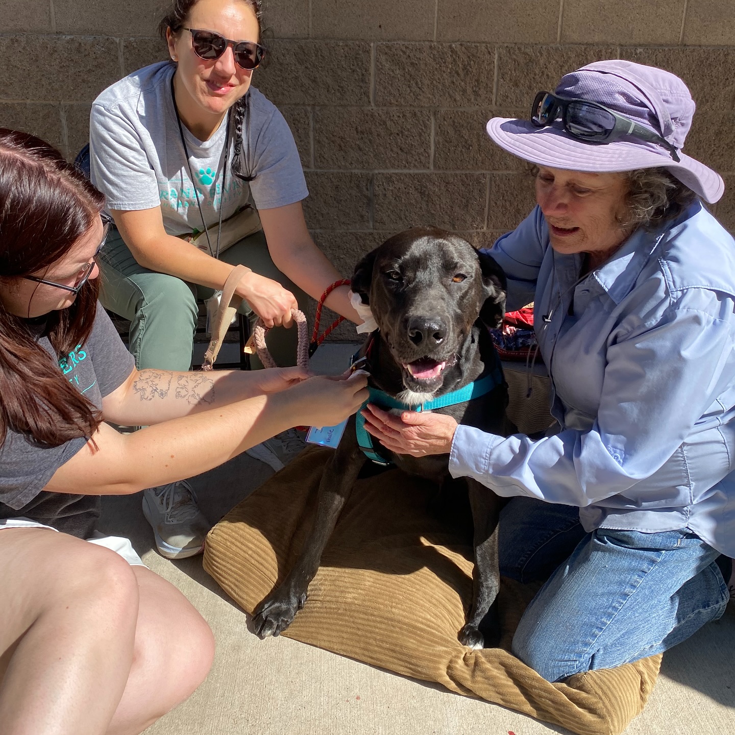 551498755_18081529727314257_5333907666658823966_n