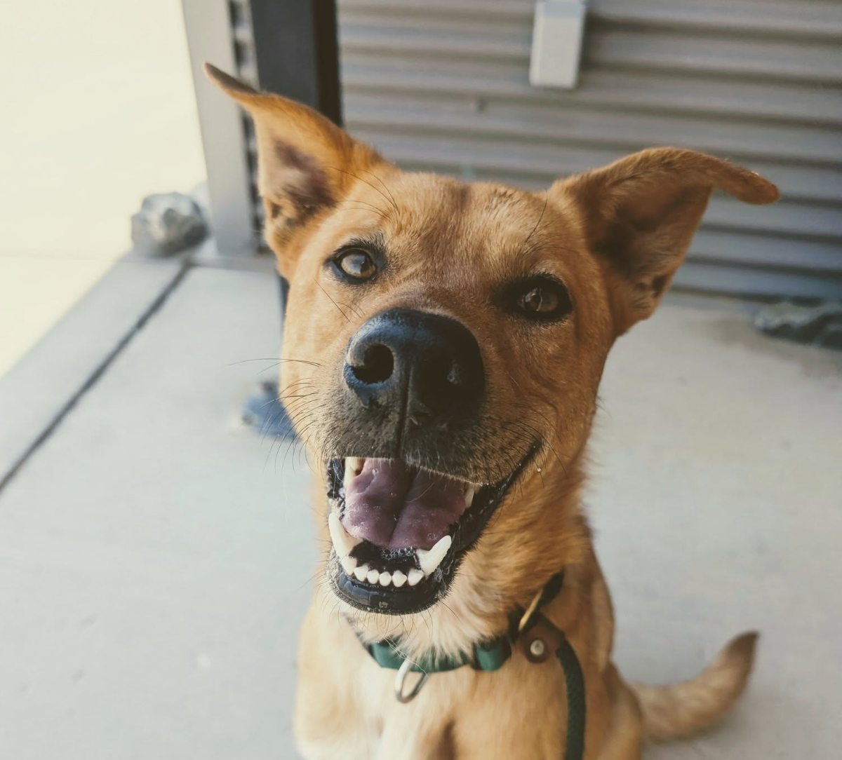 Screen Shot 2025-11-07 at 12.09.49 PM