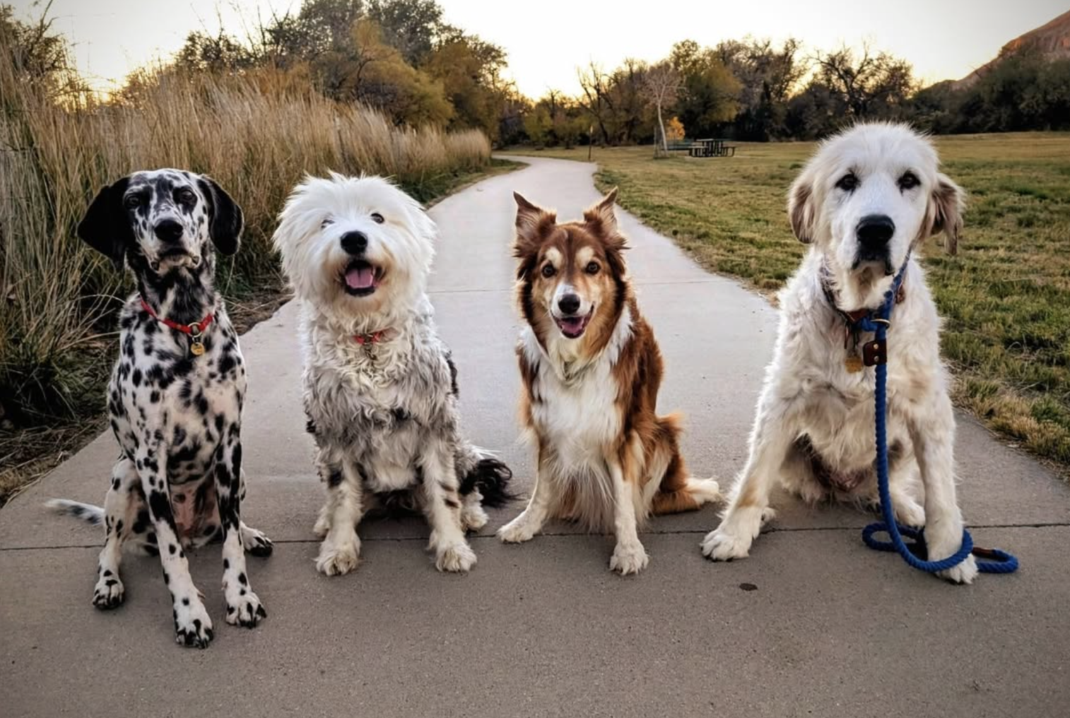 Screen Shot 2025-11-07 at 12.12.55 PM