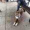 Ronnie